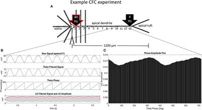 Assessing the Impact of Ih Conductance on Cross-Frequency Coupling in Model Pyramidal Neurons